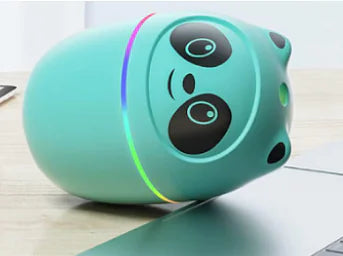 Cute Panda and Cat Humidifier 250ml